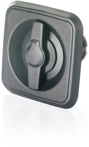 P203 Passenger's doors handle